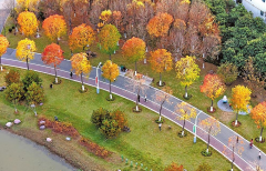 1+5+N”计谋结构 