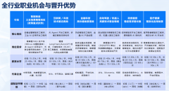 按项目或按时收费；资深人才年薪 